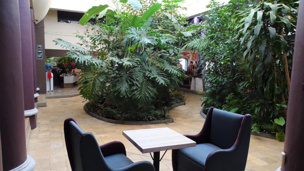 Hotel Jardines Del Centro San Cristóbal de Las Casas Exteriör bild