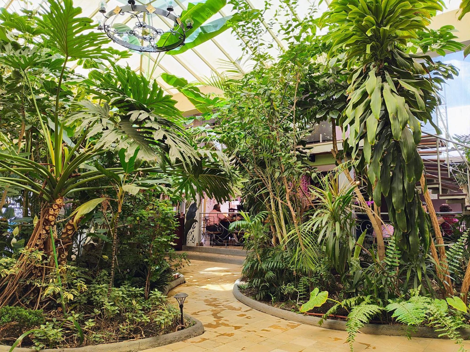 Hotel Jardines Del Centro San Cristóbal de Las Casas Exteriör bild