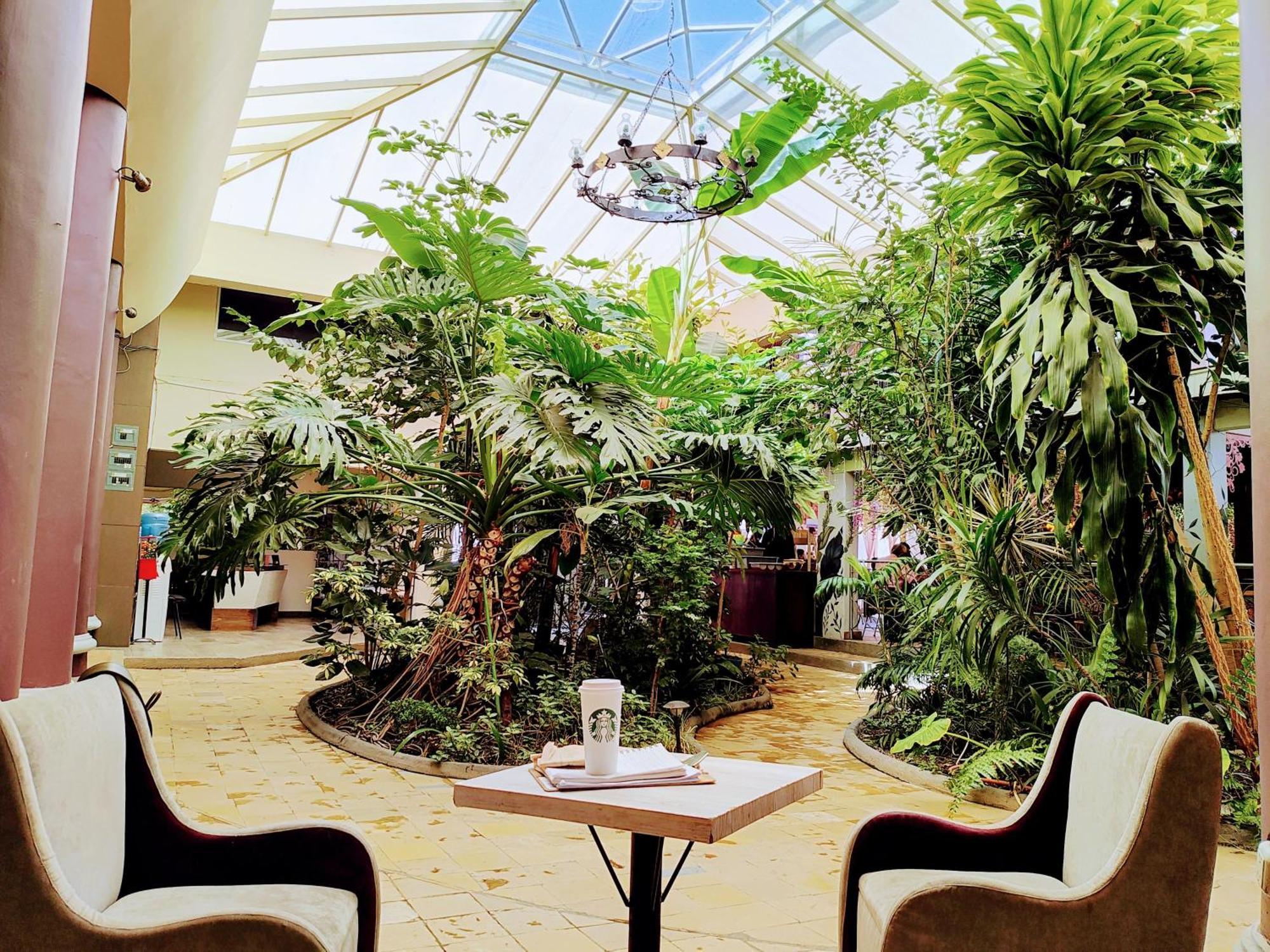 Hotel Jardines Del Centro San Cristóbal de Las Casas Exteriör bild